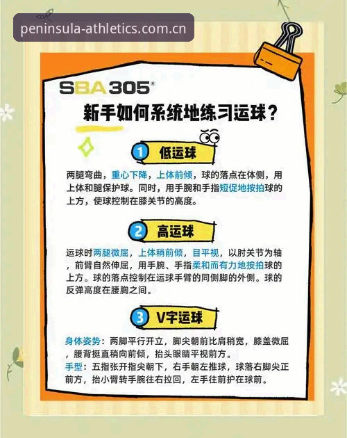 半岛体育官网bandao更新下载完整指南：从新手到高手的操作教程
