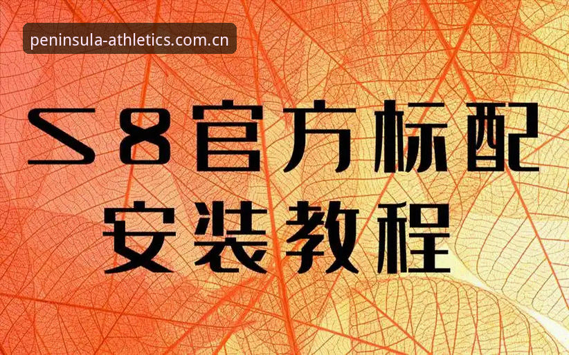 bandao官方版本 半岛体育官网bandao官方版本安装与使用完整教程